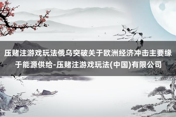压赌注游戏玩法俄乌突破关于欧洲经济冲击主要缘于能源供给-压赌注游戏玩法(中国)有限公司