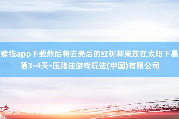 赌钱app下载然后将去壳后的红树林果放在太阳下暴晒3-4天-压赌注游戏玩法(中国)有限公司