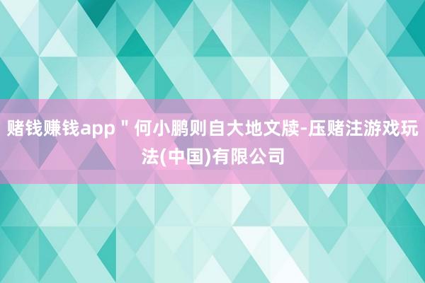 赌钱赚钱app＂何小鹏则自大地文牍-压赌注游戏玩法(中国)有限公司