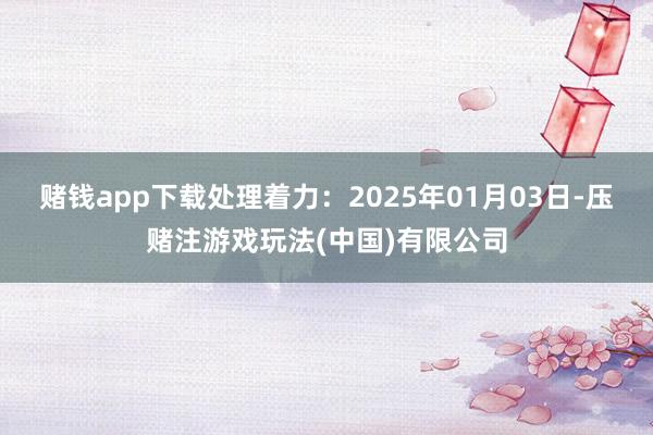 赌钱app下载处理着力：2025年01月03日-压赌注游戏玩法(中国)有限公司