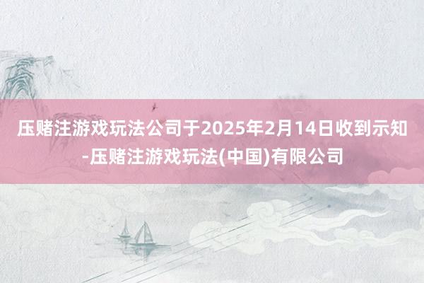 压赌注游戏玩法公司于2025年2月14日收到示知-压赌注游戏玩法(中国)有限公司