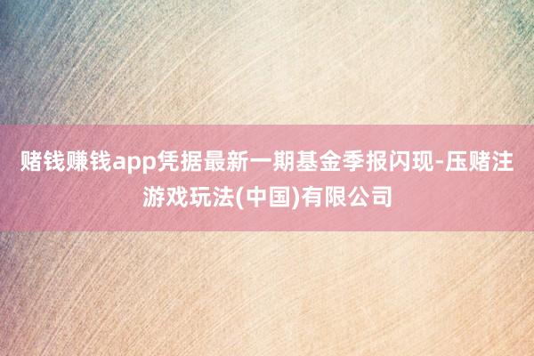 赌钱赚钱app凭据最新一期基金季报闪现-压赌注游戏玩法(中国)有限公司
