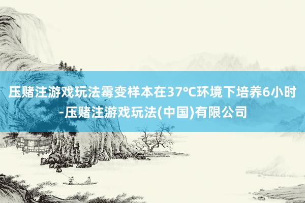 压赌注游戏玩法霉变样本在37℃环境下培养6小时-压赌注游戏玩法(中国)有限公司