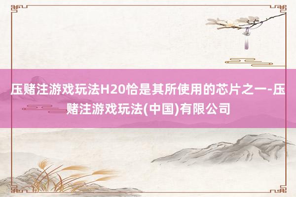 压赌注游戏玩法H20恰是其所使用的芯片之一-压赌注游戏玩法(中国)有限公司