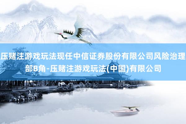压赌注游戏玩法现任中信证券股份有限公司风险治理部B角-压赌注游戏玩法(中国)有限公司