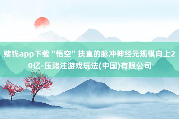 赌钱app下载“悟空”扶直的脉冲神经元规模向上20亿-压赌注游戏玩法(中国)有限公司