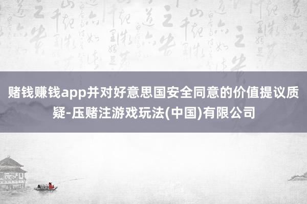 赌钱赚钱app并对好意思国安全同意的价值提议质疑-压赌注游戏玩法(中国)有限公司