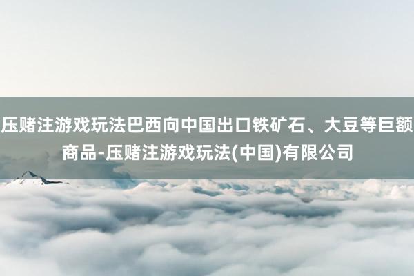 压赌注游戏玩法巴西向中国出口铁矿石、大豆等巨额商品-压赌注游戏玩法(中国)有限公司