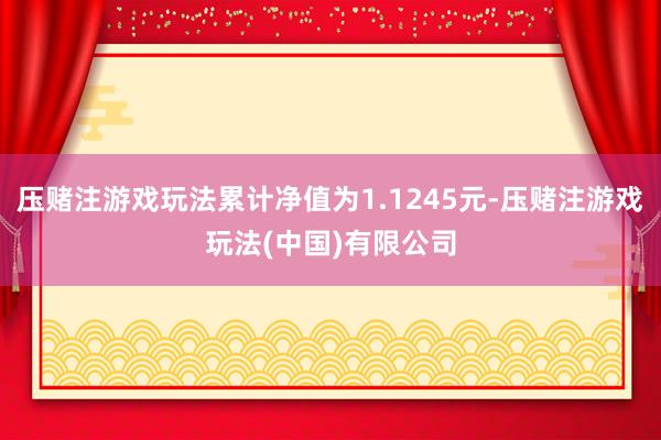 压赌注游戏玩法累计净值为1.1245元-压赌注游戏玩法(中国)有限公司