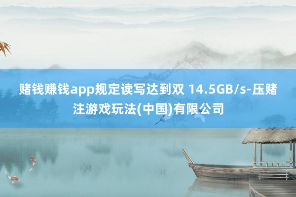 赌钱赚钱app规定读写达到双 14.5GB/s-压赌注游戏玩法(中国)有限公司