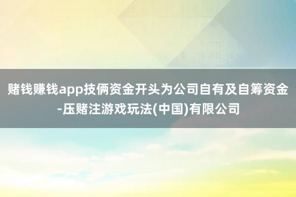 赌钱赚钱app技俩资金开头为公司自有及自筹资金-压赌注游戏玩法(中国)有限公司