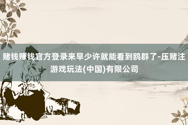 赌钱赚钱官方登录来早少许就能看到鸥群了-压赌注游戏玩法(中国)有限公司