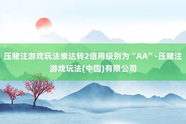 压赌注游戏玩法崇达转2信用级别为“AA”-压赌注游戏玩法(中国)有限公司
