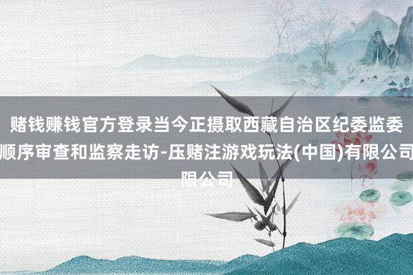 赌钱赚钱官方登录当今正摄取西藏自治区纪委监委顺序审查和监察走访-压赌注游戏玩法(中国)有限公司