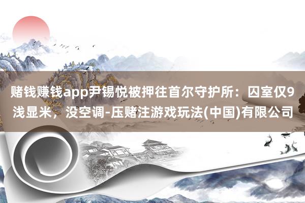 赌钱赚钱app尹锡悦被押往首尔守护所：囚室仅9浅显米，没空调-压赌注游戏玩法(中国)有限公司
