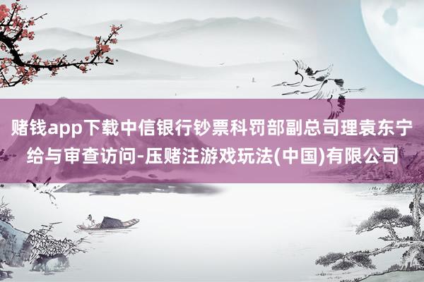 赌钱app下载中信银行钞票科罚部副总司理袁东宁给与审查访问-压赌注游戏玩法(中国)有限公司