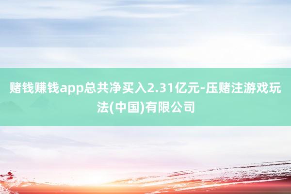 赌钱赚钱app总共净买入2.31亿元-压赌注游戏玩法(中国)有限公司
