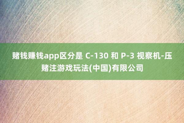 赌钱赚钱app区分是 C-130 和 P-3 视察机-压赌注游戏玩法(中国)有限公司